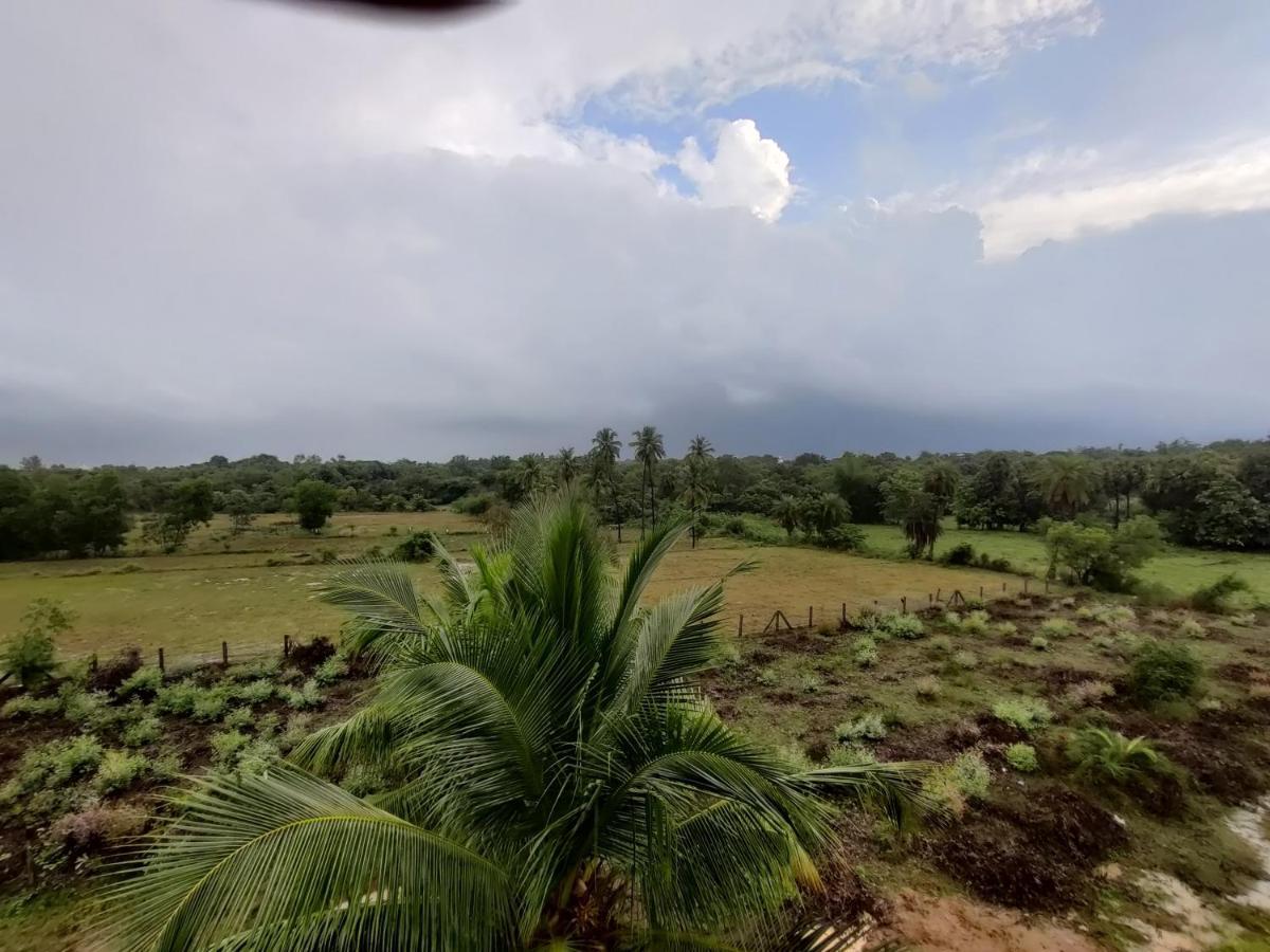 Woodpacker Hostel Auroville Pondicherry ภายนอก รูปภาพ